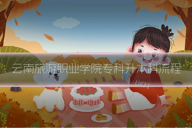 云南旅游职业学院专科升本科流程