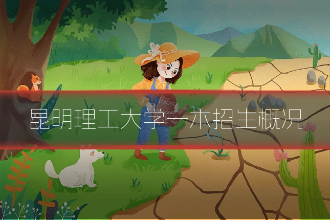 昆明理工大学一本招生概况