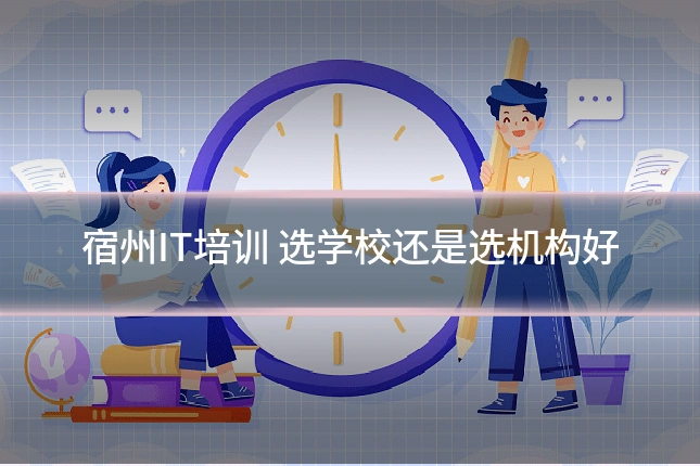 宿州IT培训 选学校还是选机构好