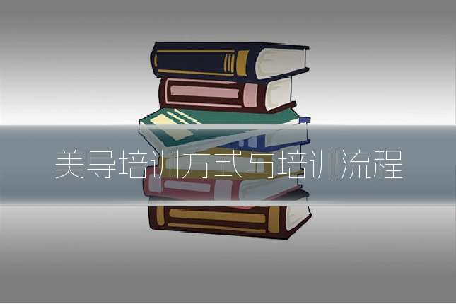 美导培训方式与培训流程