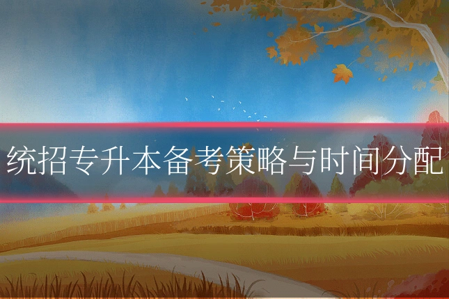 统招专升本备考策略与时间分配