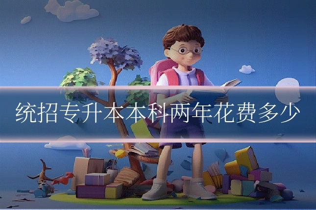 统招专升本本科两年花费多少