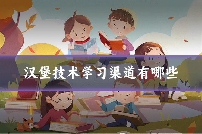 汉堡技术学习渠道有哪些