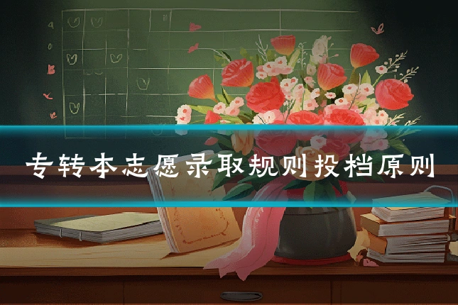 专转本志愿录取规则投档原则