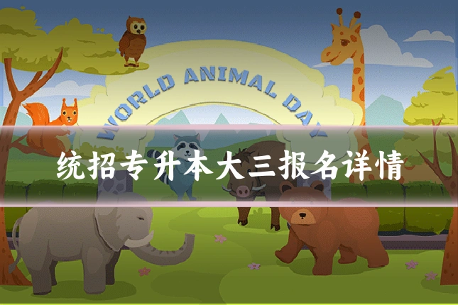 统招专升本大三报名详情