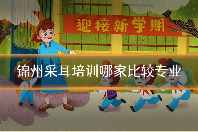 锦州采耳培训哪家比较专业