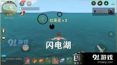创造与魔法红莲花采集位置大全