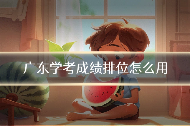 广东学考成绩排位怎么用