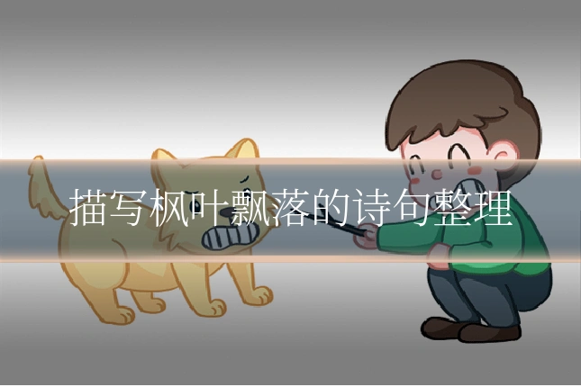描写枫叶飘落的诗句整理