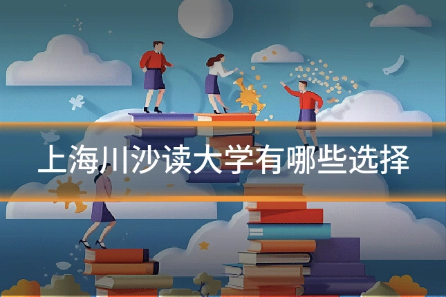 上海川沙读大学有哪些选择