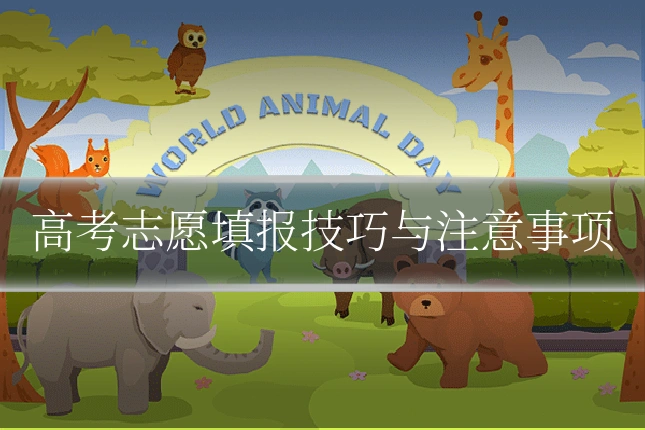 高考志愿填报技巧与注意事项