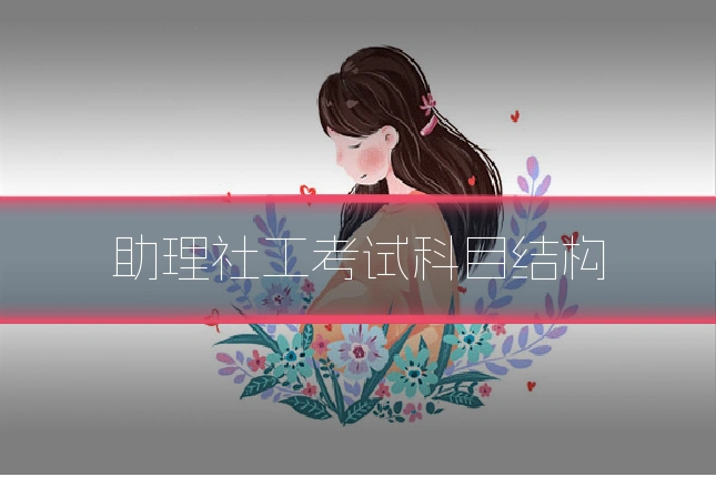助理社工考试科目结构