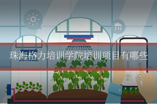 珠海格力培训学院培训项目有哪些