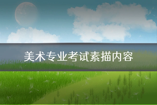 美术专业考试素描内容