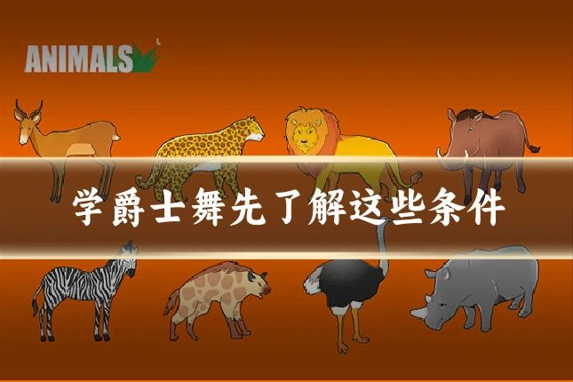 学爵士舞先了解这些条件