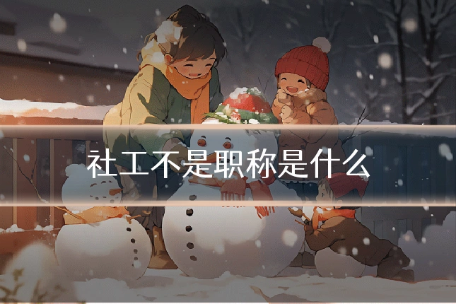 社工不是职称是什么