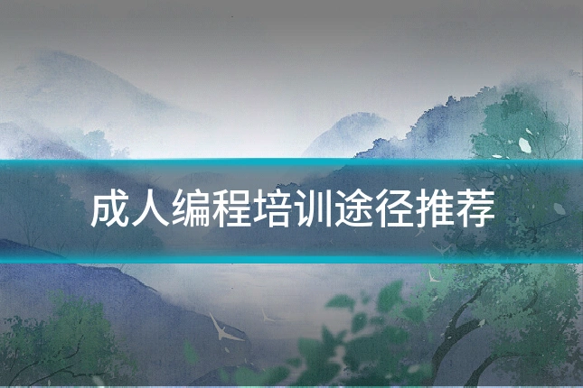 成人编程培训途径推荐