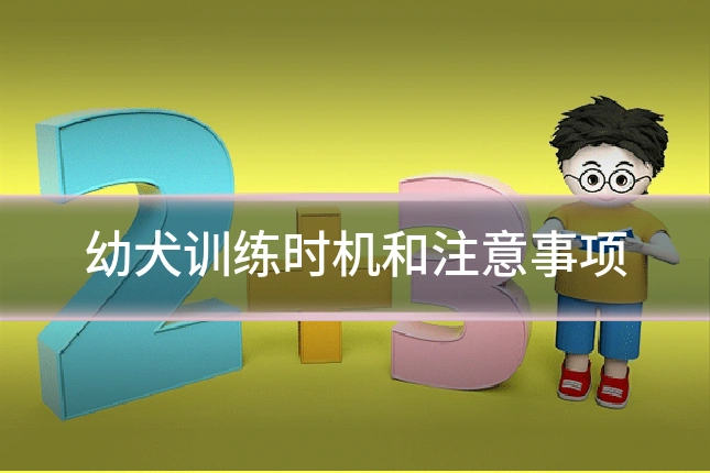 幼犬训练时机和注意事项
