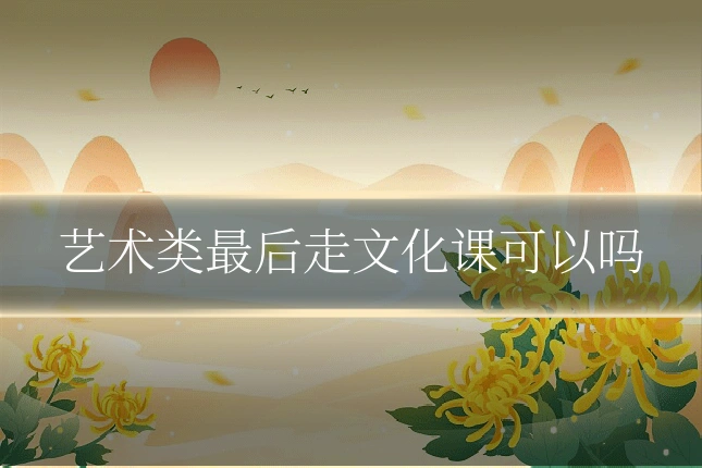 艺术类最后走文化课可以吗