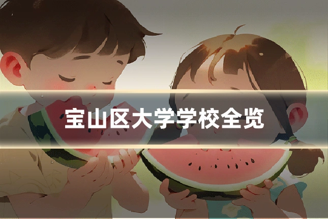 宝山区大学学校全览
