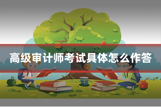 高级审计师考试具体怎么作答