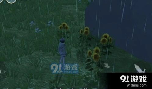 创造与魔法向日葵种子用途详细指南