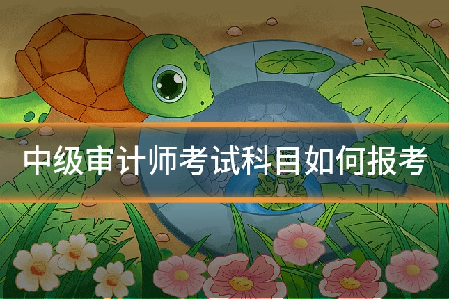 中级审计师考试科目如何报考