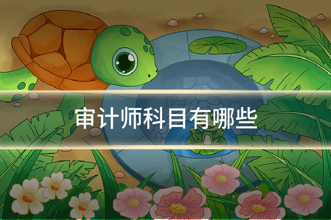 审计师科目有哪些