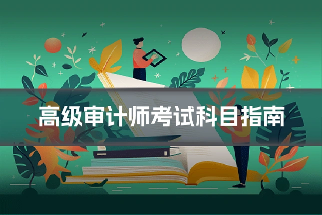 高级审计师考试科目指南