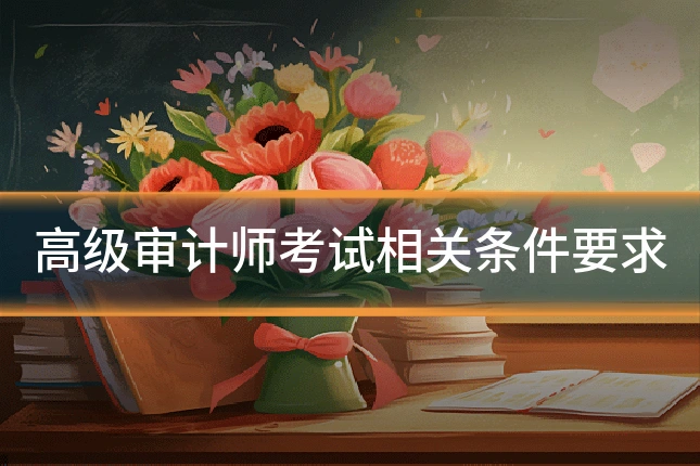 高级审计师考试相关条件要求