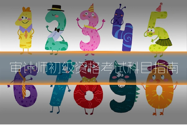 审计师初级资格考试科目指南