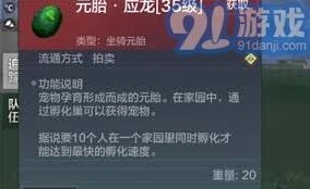 妄想山海应龙捕捉技巧与培养指南