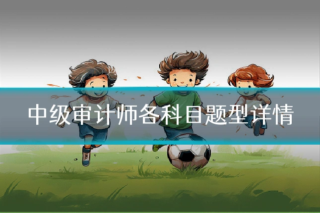 中级审计师各科目题型详情
