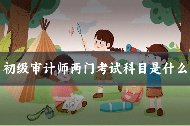初级审计师两门考试科目是什么