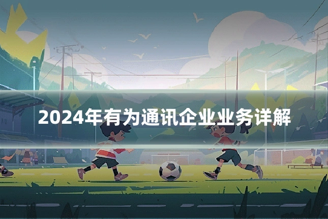 2024年有为通讯企业业务详解