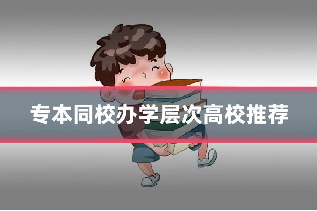 专本同校办学层次高校推荐