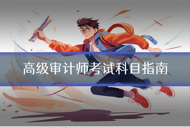 高级审计师考试科目指南