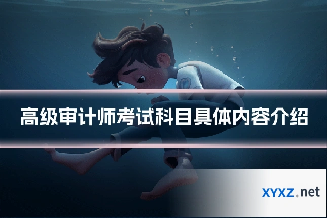 高级审计师考试科目具体内容介绍