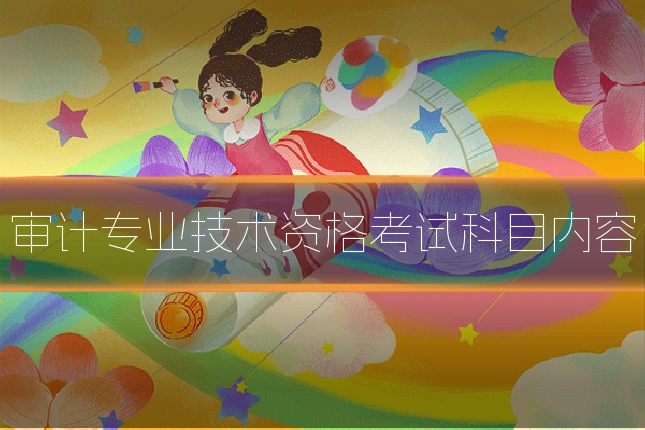 审计专业技术资格考试科目内容