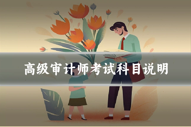高级审计师考试科目说明