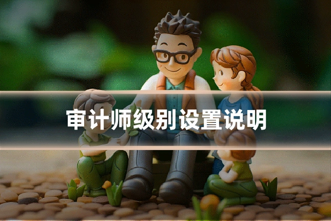 审计师级别设置说明