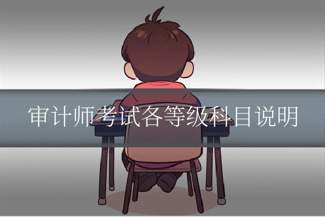 审计师考试各等级科目说明