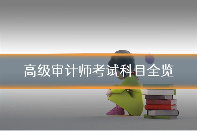 高级审计师考试科目全览