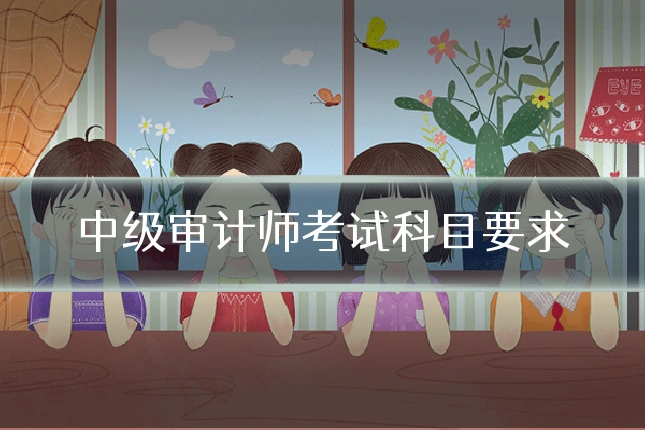 中级审计师考试科目要求