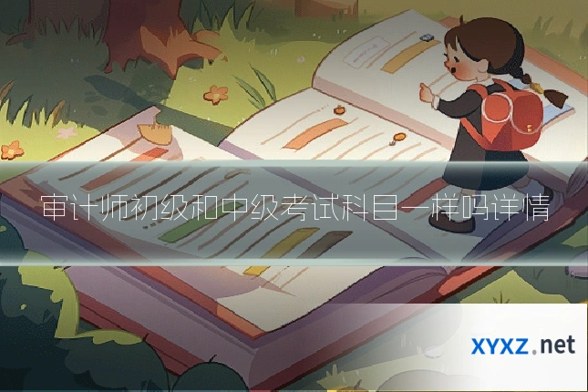 审计师初级和中级考试科目一样吗详情
