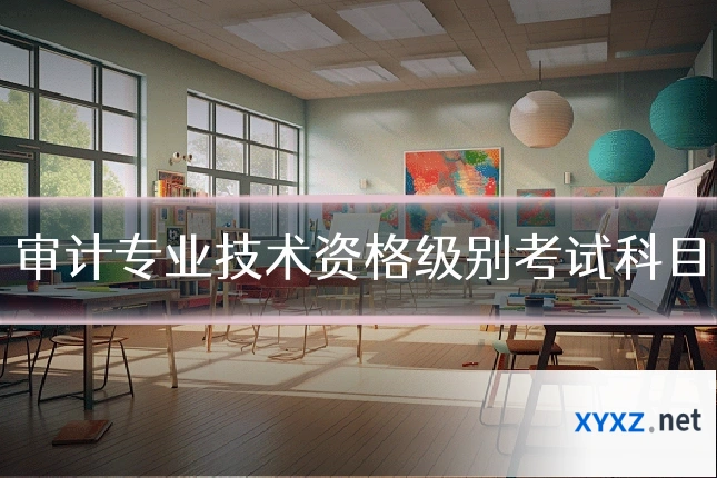 审计专业技术资格级别考试科目