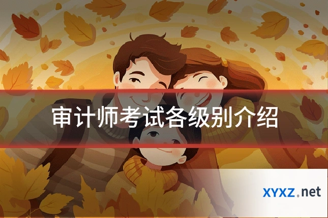 审计师考试各级别介绍