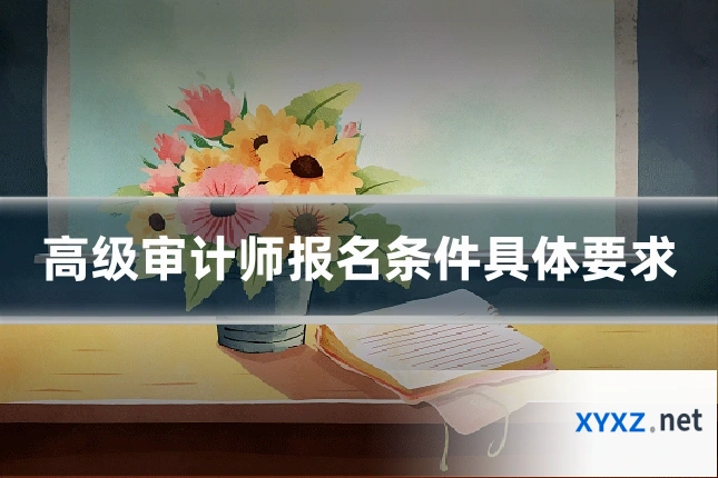 高级审计师报名条件具体要求