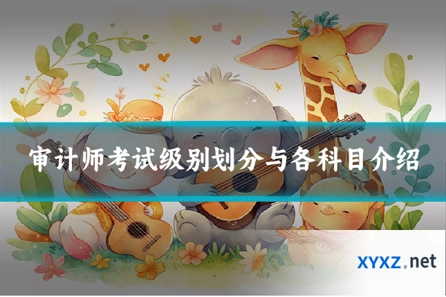 审计师考试级别划分与各科目介绍