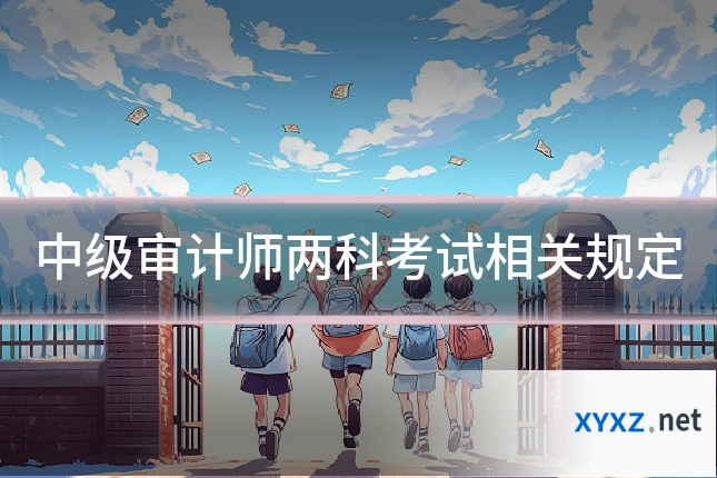 中级审计师两科考试相关规定
